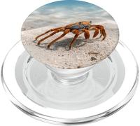 Crabe, océan, Sable, Fond Marin, côtière, scène de Vie Marine PopSockets PopGrip pour MagSafe