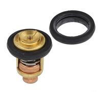 Crabop Kit thermostat, régulation de la température du moteur en acier inoxydable et cuivre, pour Johnson pour moteurs hors-bord Evinrude 5-235 CV, convient pour une utilisation marine