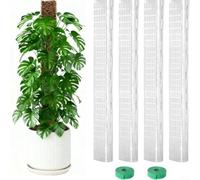 Crabop Lot de 4 piquets en plastique en forme de D empilables pour plantes Monstera et plantes grimpantes, compatibles avec la mousse de sphaigne