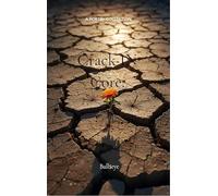 Crack IN Core - There are no cheat codes irl.Your game is yours to play, play it well.