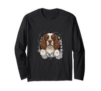 Cracked Wall English Springer Spaniel Manche Longue