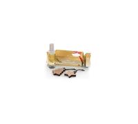 Crackers surprise parfumé thé et pain d'épices 2024 - Esteban