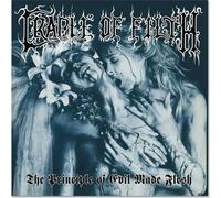 Cradle of Filth – The Principle of Evil Made Flesh – Vinyle LP Aqua Blue (Edel)