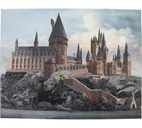 Craft Buddy Diamond Painting Crystal Art Kit 40x50 cm DIY Set avec effet lumineux complet, personnalisé, broderie, divertissement, projet artistique, kit créatifs simples Hogwarts Castle