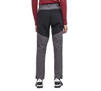 Craft Pro Explore Hiking Pants Gris L Femme