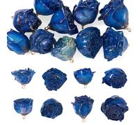 Craftdady Lot de 10 breloques en forme de rose bleue en plastique pour loisirs créatifs, boucles d'oreilles, colliers, bracelets, cadeaux de fête d'anniversaire
