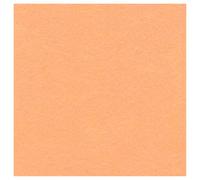 Craftelier - Lot de 2 feutres pour travaux manuels et autres compositions avec tissus et accessoires. 100% polyester. Dimensions : 30,48 x 30,48 cm. Épaisseur : environ 2 mm. Couleur rose saumon