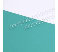 Craftelier - Lot de 2 Spirales pour la Reliure d'albums, de Carnets ou d'agendas | Idéal pour le Scrapbooking et les Projets de Bricolage | Ø 1,27 cm (0.5") | Longueur 30,5 cm (12") - Couleur Blanche