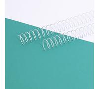Craftelier - Lot de 2 Spirales pour la Reliure d'albums, de Carnets ou d'agendas | Idéal pour le Scrapbooking et les Projets de Bricolage | Ø 2,54 cm (1") | Longueur 30,5 cm (12") - Couleur Blanc