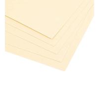 Craftelier - Lot de 5 cartes texturées sur toile double face | Matériau parfait pour le scrapbooking et l'artisanat | Grammage 216 gr | Taille 30,48 x 30,48 cm (12"x12") - Blanc Ivoire