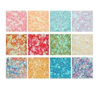 CRAFTMELODY 120G 12 couleurs Paillettes Rondes Plates Paillettes Rondes en Vrac Colorées en Plastique PVC Irisé Appliques en Vrac