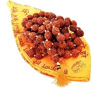 craftslook Lot de 2 colliers de 108 perles Rudraksha Mala naturelles de l'Himalaya pour prière - Taille du bracelet, 8 mm, Rudraksha, Pas de gemme