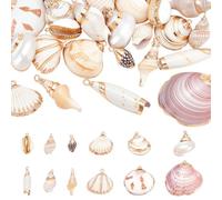 CRAFTYMELODY 24 pièce 12 styles de Breloques en Coquillage Naturel Assortiment de Coquillages de Plage Conques Coquillages Cauris Pendentifs Breloques D'Été Océan