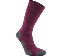 Craghoppers - Chaussettes "Trek" pour hommes/femmes unisexes CG1883 (39,5 EU - 42 EU) (Baie)