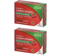 CRANBERRY CONFORT URINAIRE VIATRIS GELULE Gel(S) 2x20 ml
