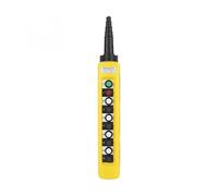 Crane Chain Hoist Push Button Switch Lifting Pendant Controller with Emergency Stop NWPNLXEA