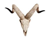 Crâne d'animal, tête de Mort de Vache, Bison, décoration Murale - Crânes de Taureau rustiques pour décoration de Lodge sur Le thème des Amérindiens de l'Ouest (E)