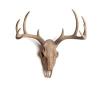 CrâNe de Cerf Mulet Factice, TêTe de Cerf NaturaliséE en RéSine, Sculpture Murale EsthéTique Sauvage sans PerçAge(A)