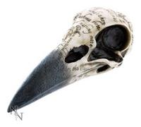 Crâne de corbeau d'Edgar G
