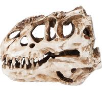 Crâne de dinosaure en résine Personnalité Animal Squelette Ornements Halloween Collection Craft Decor