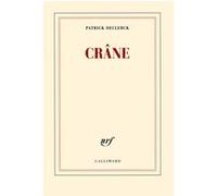 Patrick Declerck – Crâne – Roman – Broché