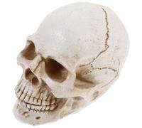 Crâne Simulé Réaliste en Résine pour Halloween, Anatomie Humaine | Modèle Anatomique du Crâne, Décor Gothique Beige, Compact pour Bureau, Art et Cours