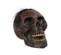 Crâne Voo Doo Marron