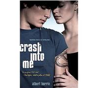 Crash into Me Albert Borris (Auteur)