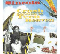 Crash Landing In Teen Heaven