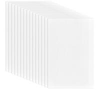 craspire 15Pcs Fursuit Eye Mesh 11.81x7.87 Pouce Filet en Plastique de PVC Blanc 0.5mm Trou Maille Imprimable imperméable pour Furries Cosplay DIY Craft Prop Faisant la Sculpture décor à la Maison