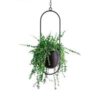Cratone Pot de Décoration à Suspendre en Métal Noir Bolo pour Plantes d'Intérieur, Grasses, Aériennes et Cactus