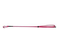 Cravache Whip & Go 53 Cm Couleur : Noir, Taille : 53 Cm Noir