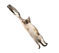 Cravate À Imprimé Félin Pour , Tissu Au Toucher Soie À Imprimé Animal Haute Densité, Accessoire De Mode Fantaisiste, Démarreur De Conversation Pour Fête De Noël Et Mariage | Cadeau Pour Les Amour