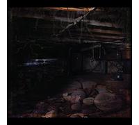 Crawlspace