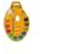 Crayola - Ensemble de peinture - aquarelle - 12 couleurs - assortiment de couleurs vives Multicolore G