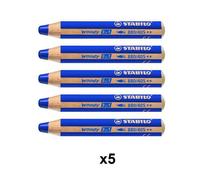 Lot De 5 Crayons De Couleur Woody 3in1 Bleu - Stabilo