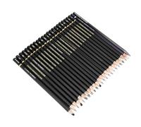 Crayon à Croquis Professionnel Crayon à Charbon Ensemble de Crayons sans Bois Crayons à Dessin de Haute Qualité pour Artistes Croquis Peinture et Ombrage 24 Pièces Fournitures