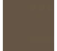 Crayon de couleur A. Durer 280