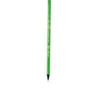 Crayon Evolution Fluo sans gomme (12 pièces) BIC