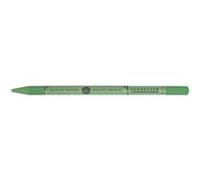 Crayon pastel - Gris vert mousse - 173 - Sans bois - Sennelier