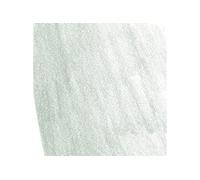 Crayon pastel Pitt 172 vert terre