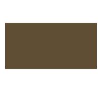 Crayon Polychromos De Faber Castell - Sépia Foncé