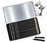 Crayon Set, 12-Pièces Crayon à dessin, Crayons Dessin Sketch Set avec crayons graphite de 4H à 14B pour artistes, adultes, amateur de croquis