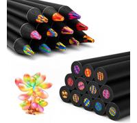 Crayons arc-en-ciel 12 couleurs, spéciaux pour adultes, Jumbo pour peinture créative et bricolage, crayons épais couleurs mélangées, multicolores