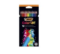 Crayons couleur bic intensity up corps triangulaire pack de 12