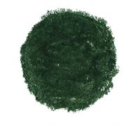 Crayons De Cire 12 Pièces Dans Un Carton - Vert Feuillage