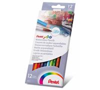 Crayons De Couleur À L'Eau Pentel Pour Artistes Dessin Et Esquisse - Pack De 12