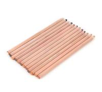 Crayons Pastel, Crayon Ensemble pour Dessiner des de Charbon de Bois Pastel Craie à Charbon de Bois 12 Pc (Portrait Couleur Prune Crayon)