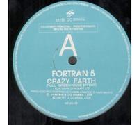 CRAZY EARTH 12" SINGLE BRAZILLIAN MUTE 1990 FULL GREENHOUSE EFFECT B/W GLOBAL WARMING (MB301258)