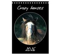 Crazy horses (Tischkalender 2026 DIN A5 hoch), CALVENDO Monatskalender: Pferde von ihrer komischen Seite